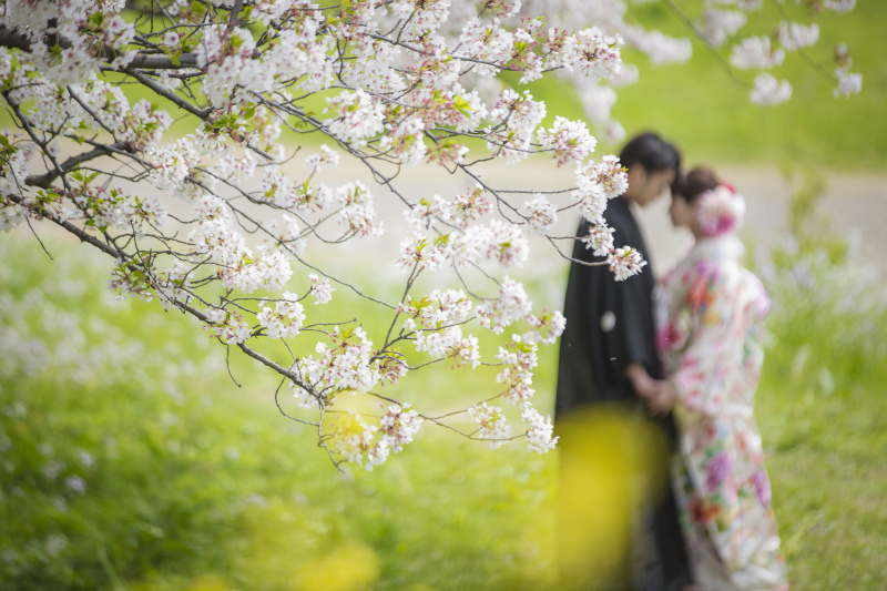 Angel Studio 新宿_色打掛・着物が豊富