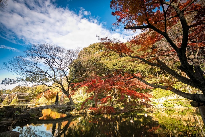 Angel Studio 新宿_庭園で撮影できる