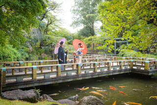 Angel Studio 新宿_東郷神社