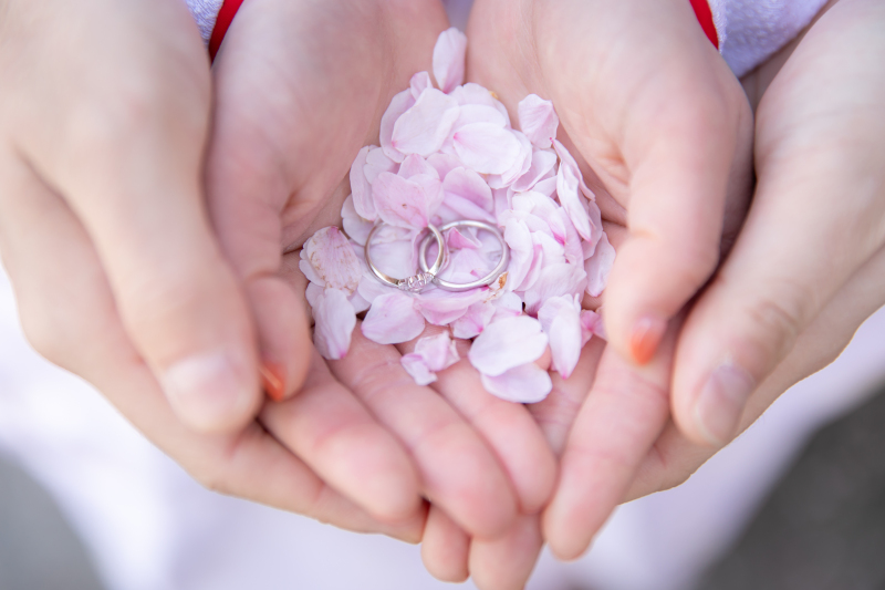 【期間限定桜ロケ】♢白無垢+色打掛♢東郷神社和装ロケーション【奉告祭/和室/全データ/アテンド同行/移動費/400着から選べる】