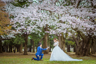 ♢300着から選べる♢洋装さくらロケーションプラン【全データ付/美容アテンド同行/移動費込】