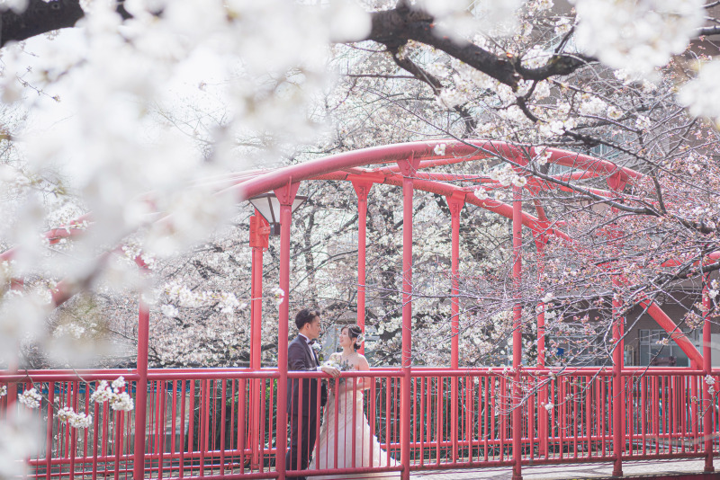 ♢300着から選べる♢洋装さくらロケーションプラン【全データ付/美容アテンド同行/移動費込】