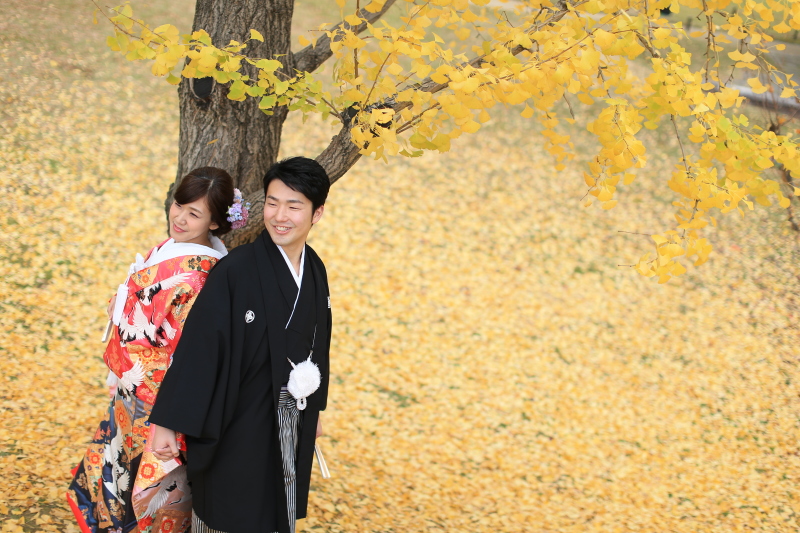 一面のイチョウ☆