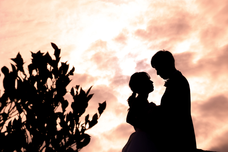 シルエット写真