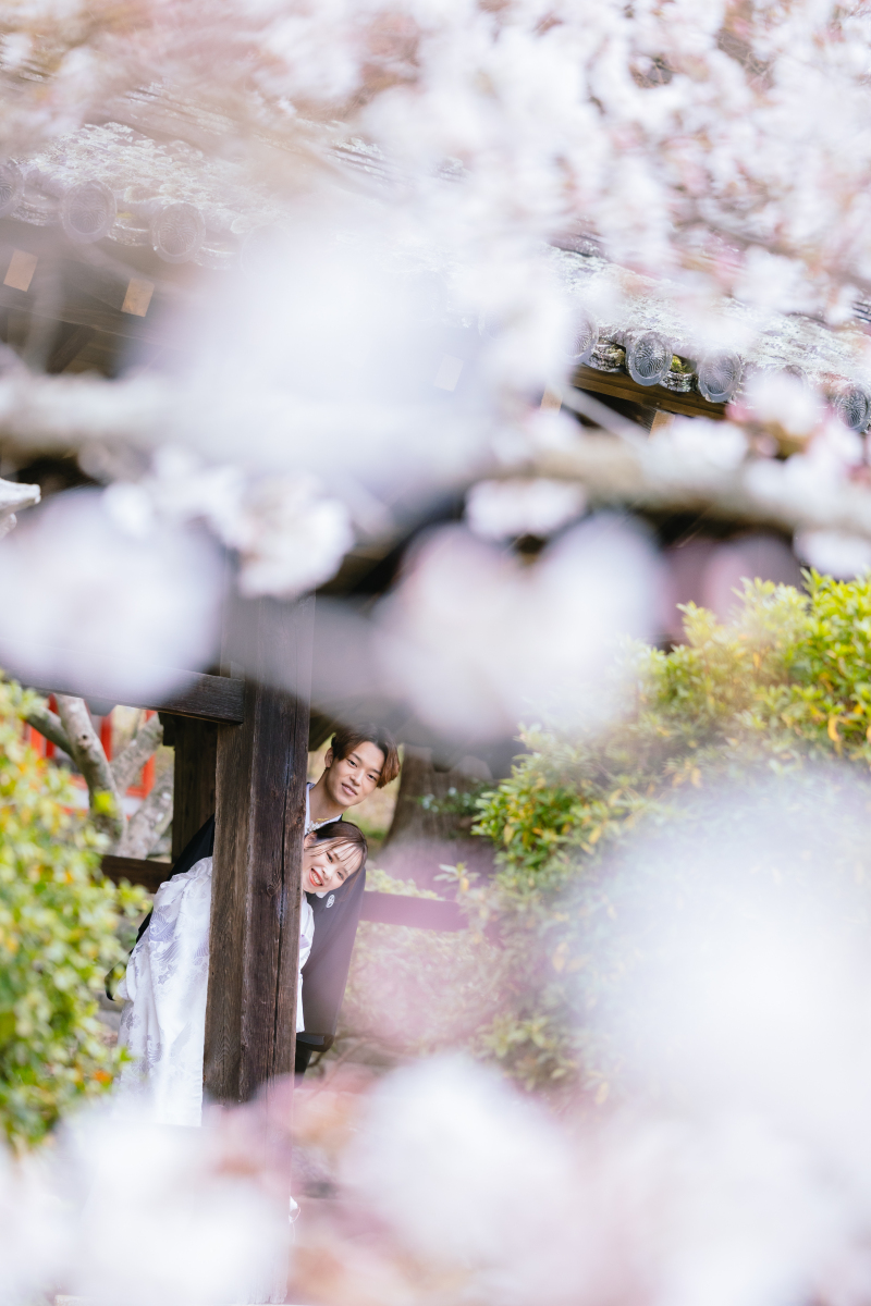 桜越しにチラッと♡