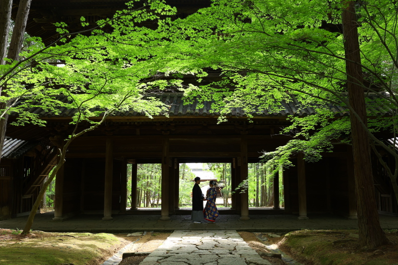 メインの通りで幻想的な1ショット