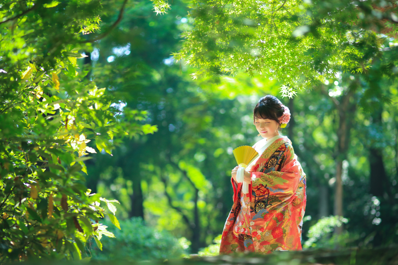 新緑が輝く幻想的な1枚＊＊