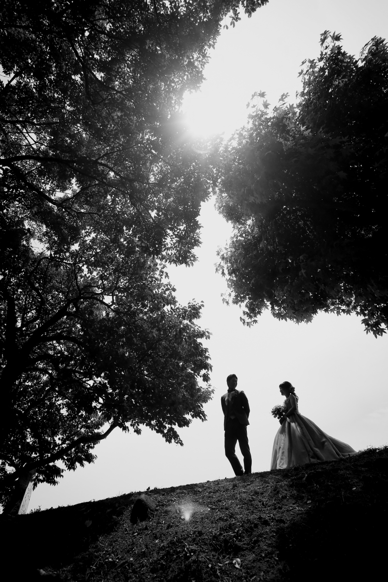 1枚の絵のような