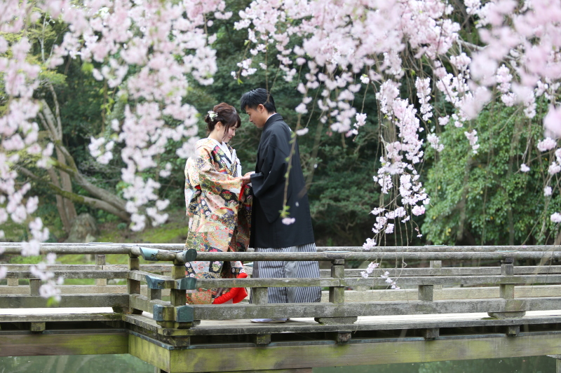 しだれ桜の中でしっとりと..