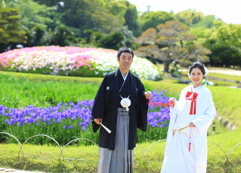 ショウブやツツジが見頃