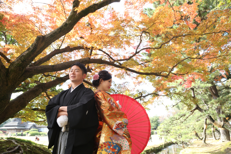 11月23日。