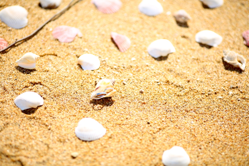 指輪の写真も＊