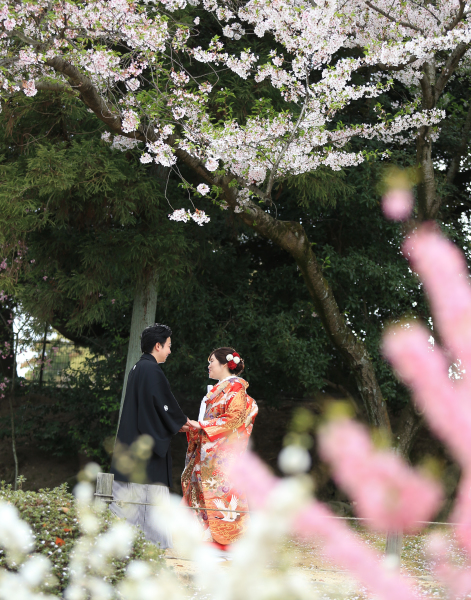 いろんなお花が咲き始めました。