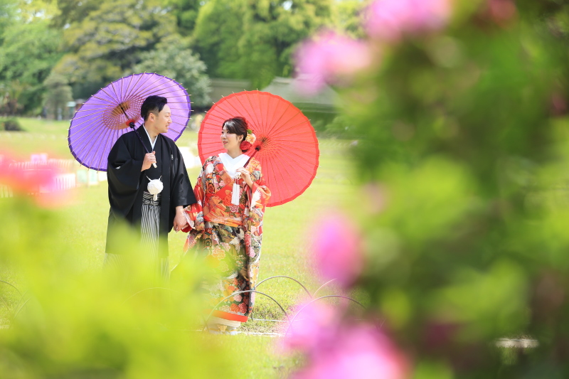 ツツジが見頃。