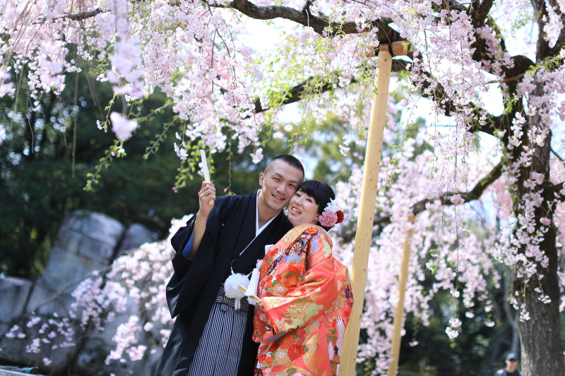 しだれ桜もあと少し。。。