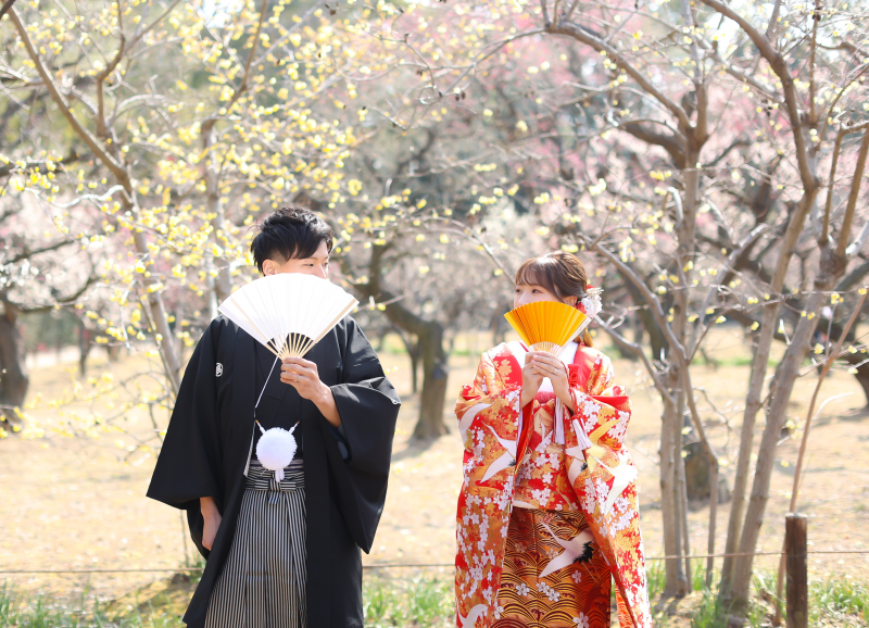 梅が綺麗に咲いております*