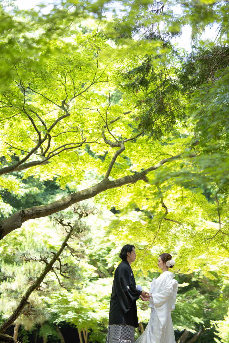 緑がとっても綺麗♪