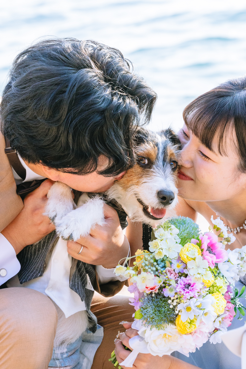 愛犬とともに☆