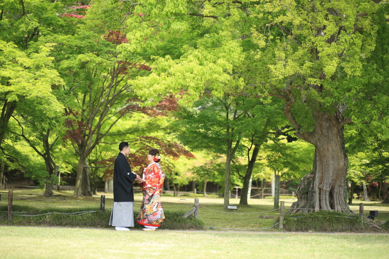 新緑をバックに