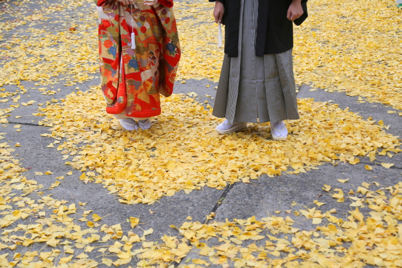 イチョウの葉♡