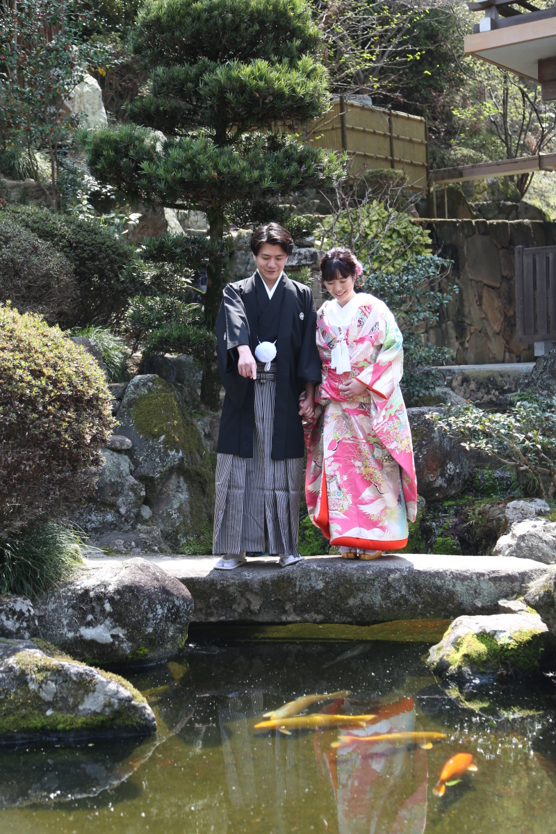 鯉を一緒に眺めて*