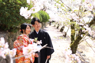 桜ロケーション