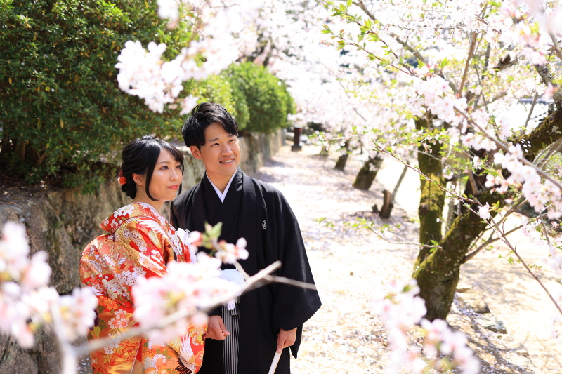 桜ロケーション