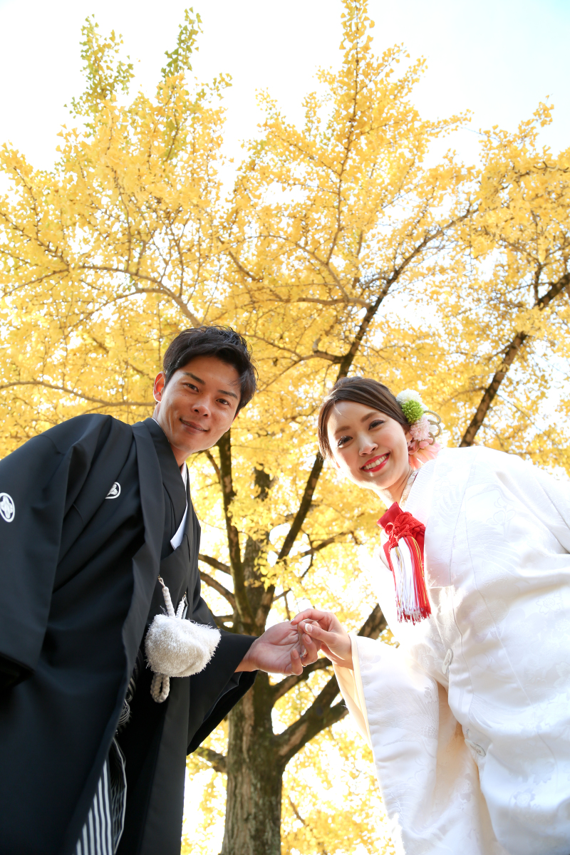 11月20日。