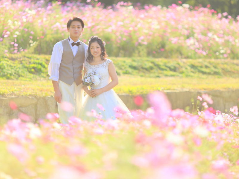 コスモス記念ショット