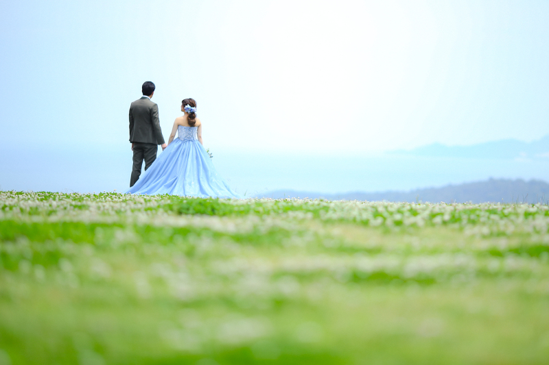 緑と青が広がる牛窓オリーブ園
