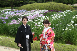 ショウブが綺麗な季節