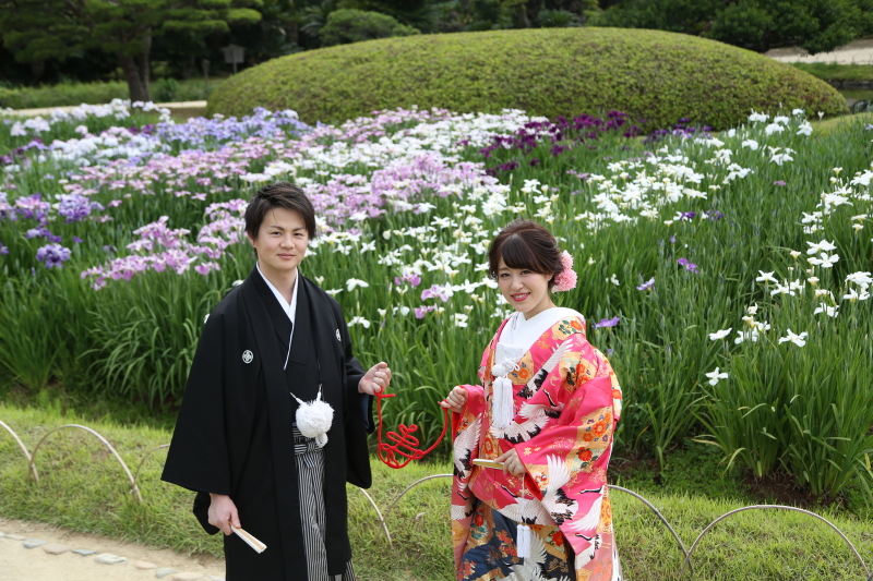 ショウブが綺麗な季節