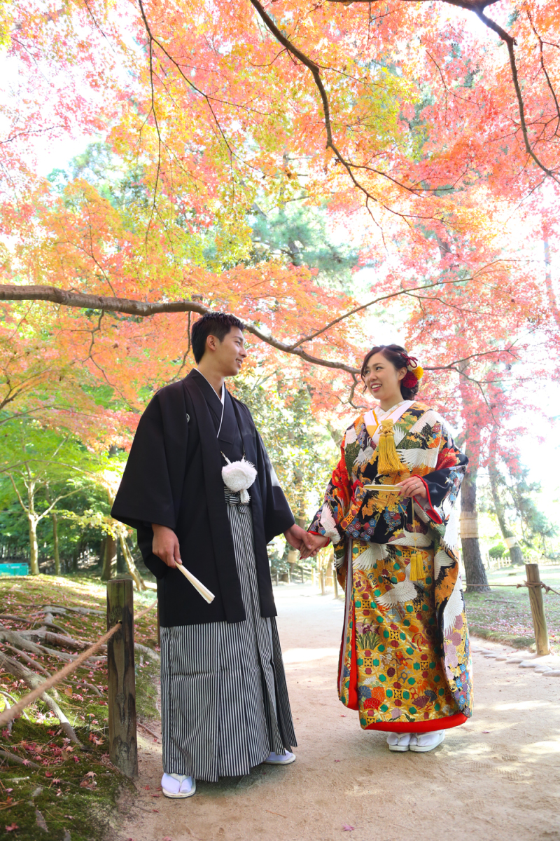 11月13日。