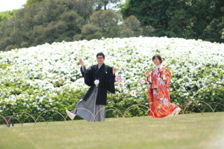 新緑で春のお花が満開！
