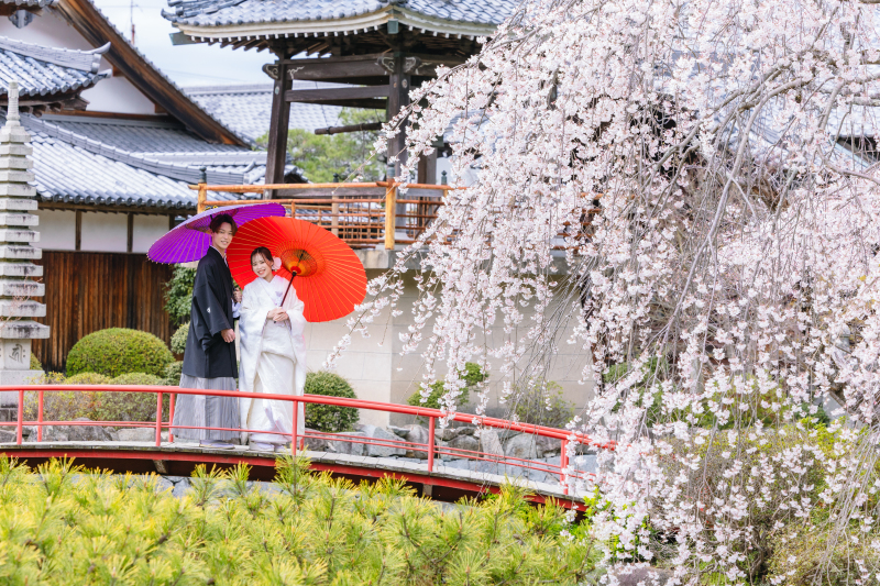 桜ロケーション