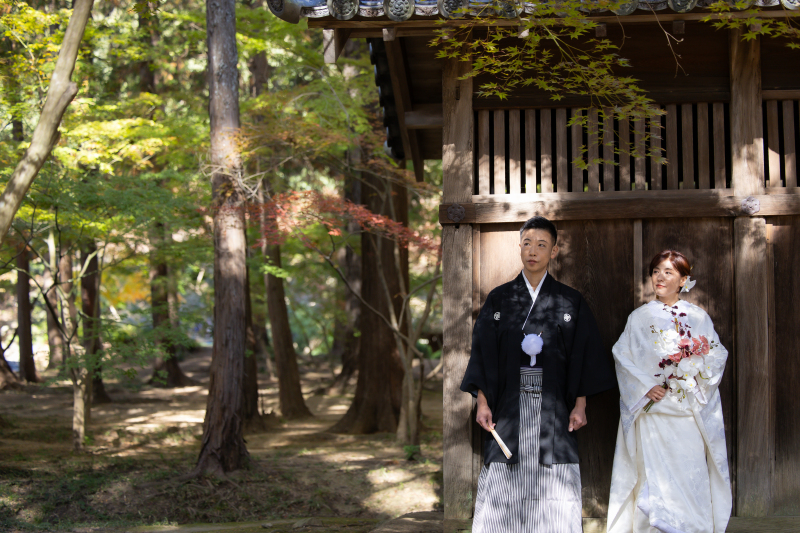 差し込む日差し