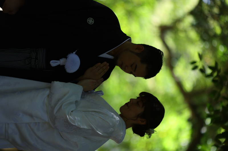 キレイなシルエット