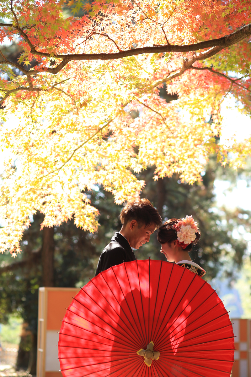 紅葉が色付き始めた時期に