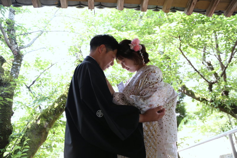 新緑背景にして