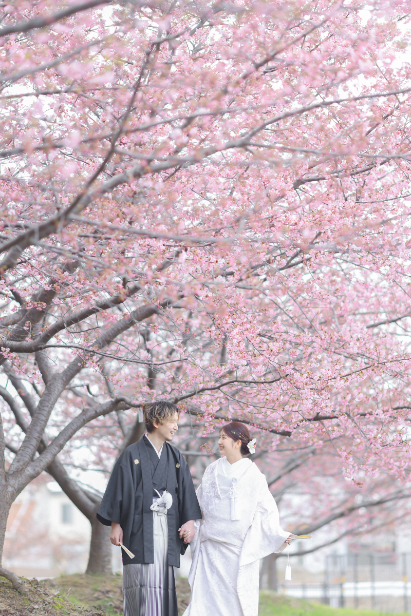 楽しくお散歩♪