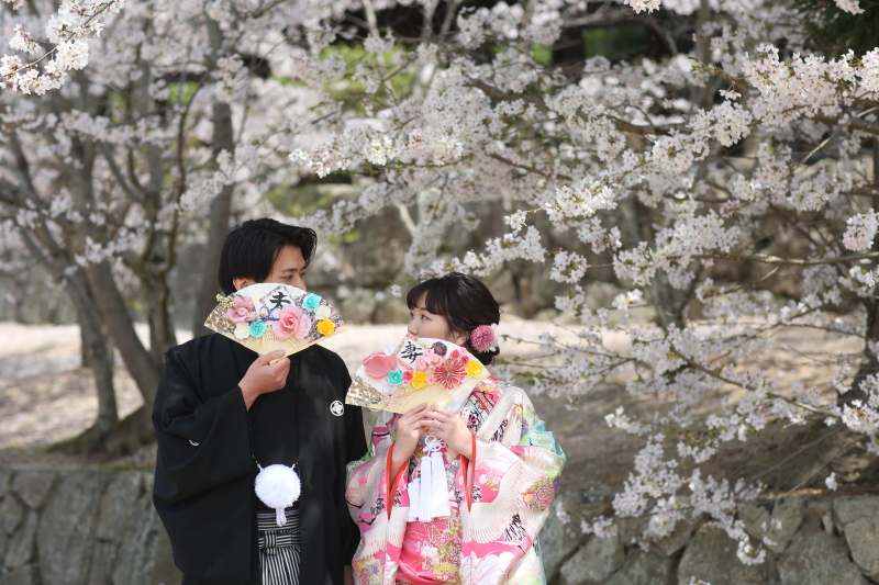 桜も綺麗な時期です