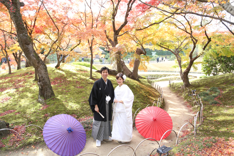 11月24日。