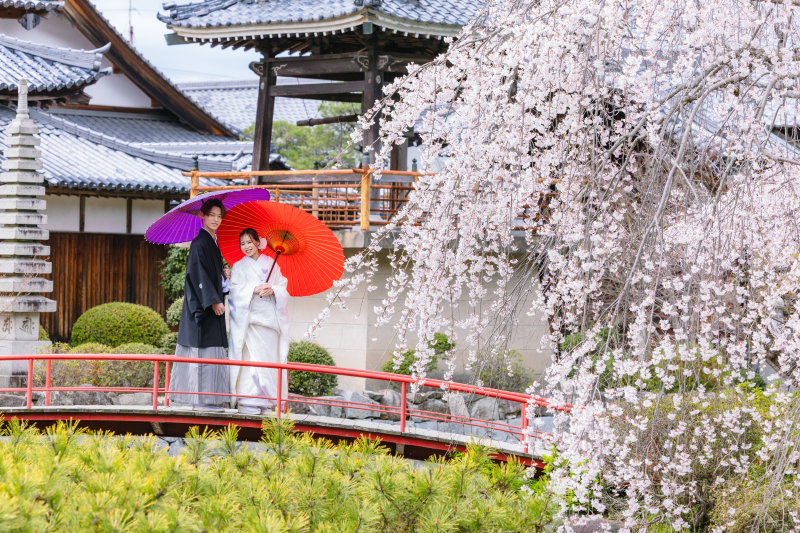 橋で撮ってもキレイ☆