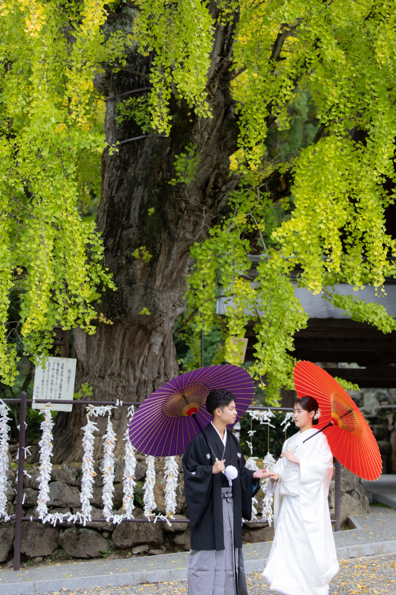 白無垢×黒紋服