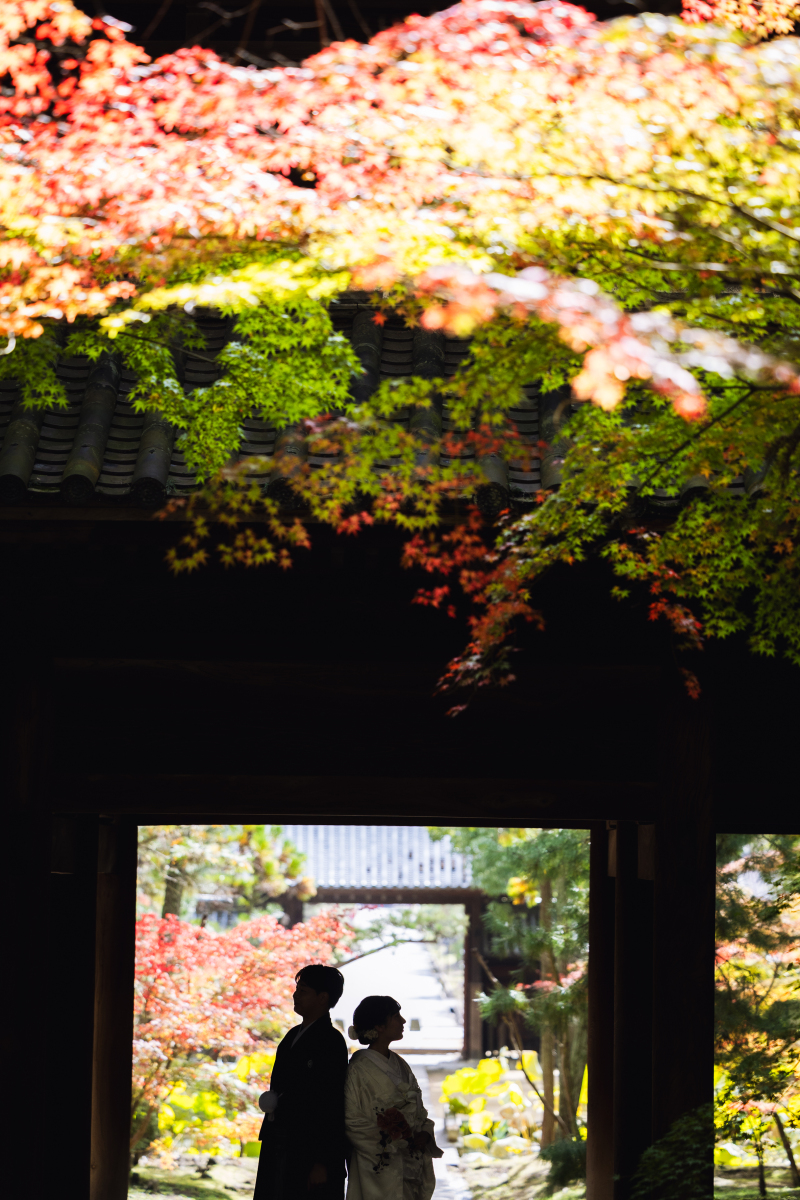 紅葉の彩りに包まれて