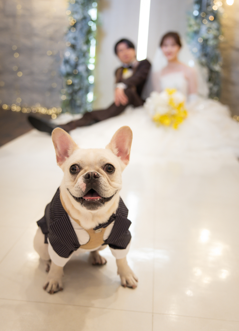 お座りポーズ(*^^*)