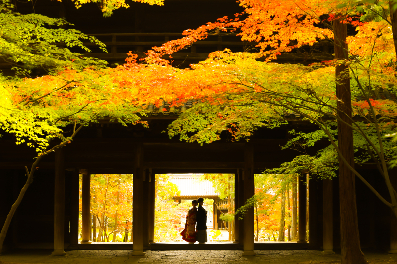 シルエットショット