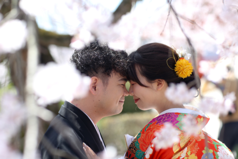 桜ロケーション❁