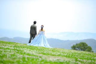 自然の緑と青*＊