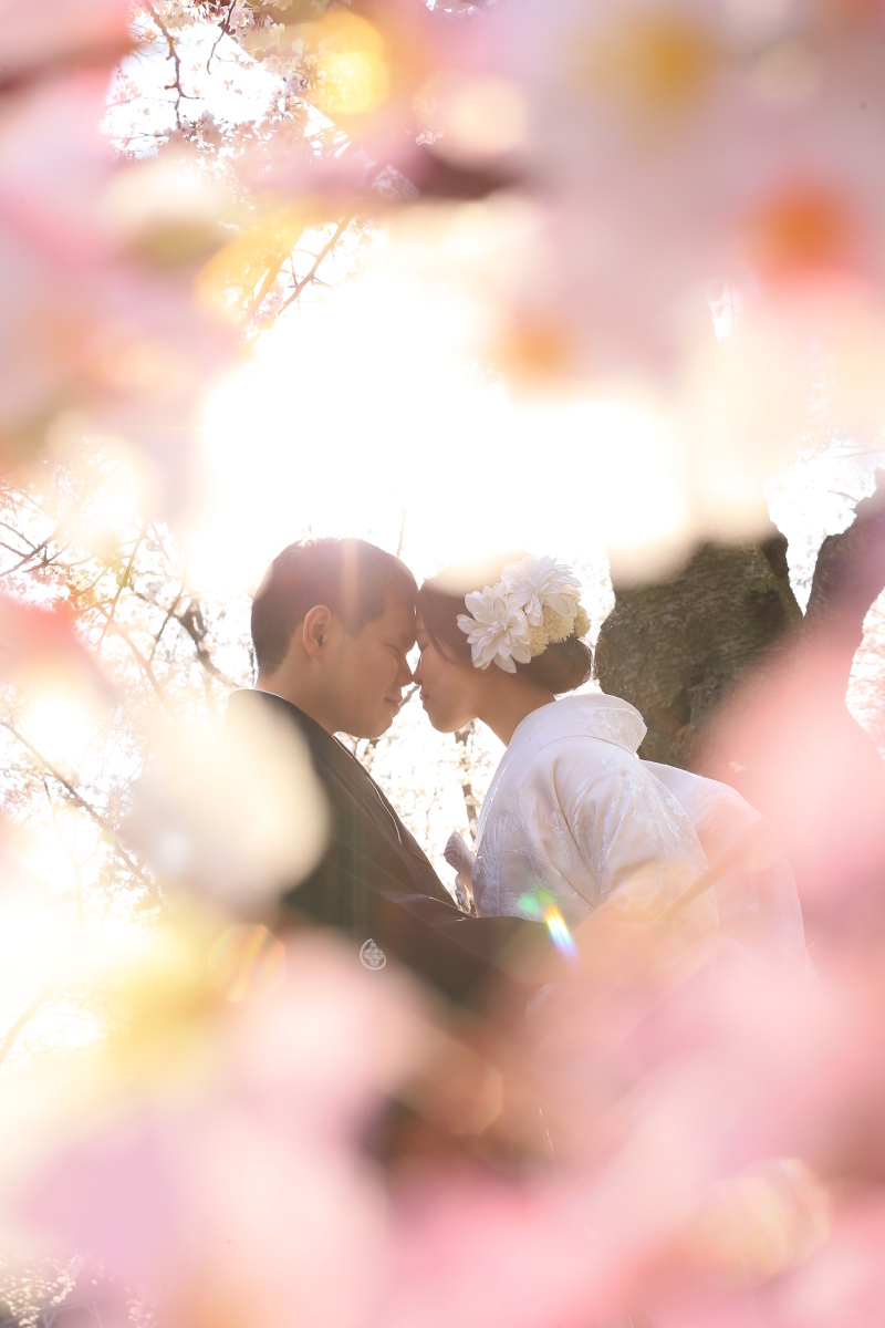満開の桜に包まれて・・・♡